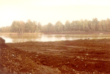 Schoenes Pfrungemer Ried